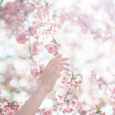 澳门太阳游戏网站